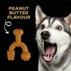 TastyBone Nylon TrioBone Peanut Butter Flavoured Chew For Large Dogs - 426g By TastyBone -Deals Happy Paw Food Store TastyBone Nylon TrioBone Peanut Butter Flavoured Chew For Large Dogs 426g 3