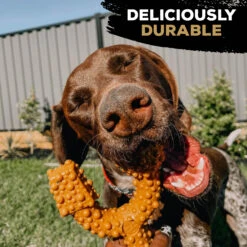 TastyBone Nylon TrioBone Peanut Butter Flavoured Chew For Large Dogs - 426g By TastyBone -Deals Happy Paw Food Store TastyBone Nylon TrioBone Peanut Butter Flavoured Chew For Large Dogs 426g 4