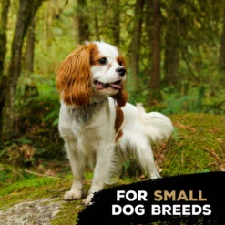 TastyBone Nylon TrioBone Peanut Butter Flavoured Chew For Small Dogs - 165g By TastyBone 9 TastyBone Nylon TrioBone Peanut Butter Flavoured Chew For Small Dogs - 165g By TastyBone -Deals Happy Paw Food Store TastyBone Nylon TrioBone Peanut Butter Flavoured Chew For Small Dogs 165g 4