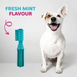 TastyBone TastyBrush Dental Nylon Fresh Mint Dog Chew - 148g By TastyBone -Deals Happy Paw Food Store TastyBone TastyBrush Dental Nylon Fresh Mint Dog Chew 148g 3