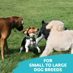 TastyBone TastyBrush Dental Nylon Fresh Mint Dog Chew - 148g By TastyBone -Deals Happy Paw Food Store TastyBone TastyBrush Dental Nylon Fresh Mint Dog Chew 148g 4