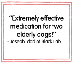 YuMOVE Dog Joint Supplement Tablets For Dogs - 300 Tablets By Yumove -Deals Happy Paw Food Store YuMOVE Dog Joint Supplement Tablets for Dogs 300 Tablets 2