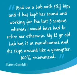 YuMOVE Working Dog Joint Supplement Tablets For Dogs - 480 Tablets By Yumove -Deals Happy Paw Food Store Yumove Joint Supplement Tablets for Working Dogs 480 Tablets 4